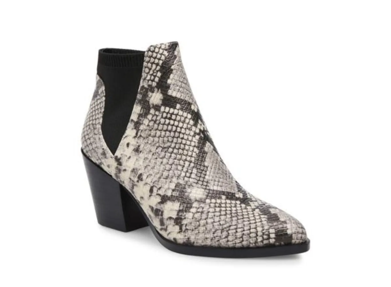 STEVE MADDEN Patrol Women | Snake